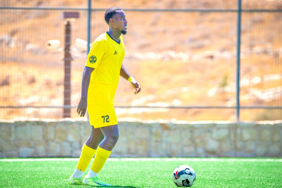 תמונה ללא תיאור