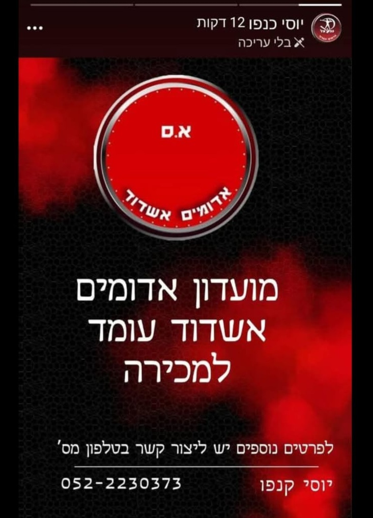 תמונה ללא תיאור